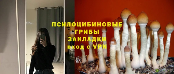 таблы Алзамай