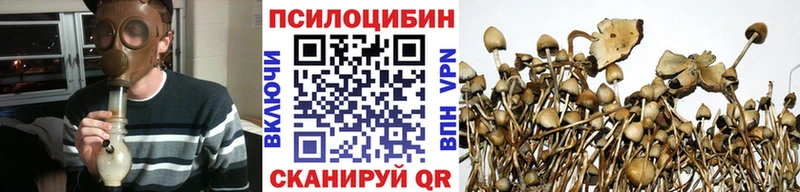 блэк спрут зеркало  Белый  Галлюциногенные грибы мухоморы 